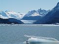 Grey Glacier